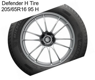 Defender H Tire 205/65R16 95 H