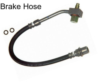 Brake Hose