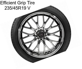 Efficient Grip Tire 235/45R19 V