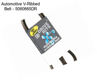 Automotive V-Ribbed Belt - 5060665DR