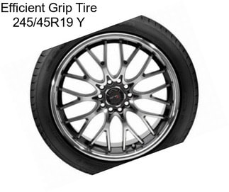 Efficient Grip Tire 245/45R19 Y