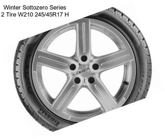 Winter Sottozero Series 2 Tire W210 245/45R17 H