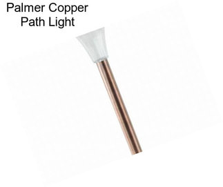 Palmer Copper Path Light