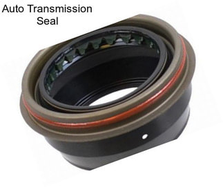 Auto Transmission Seal