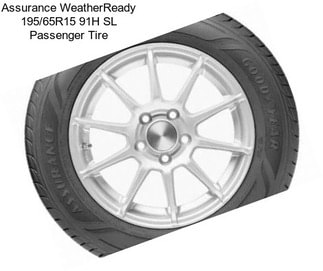 Assurance WeatherReady 195/65R15 91H SL Passenger Tire