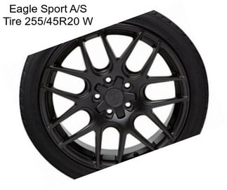 Eagle Sport A/S Tire 255/45R20 W