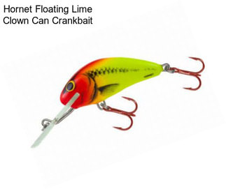 Hornet Floating Lime Clown Can Crankbait