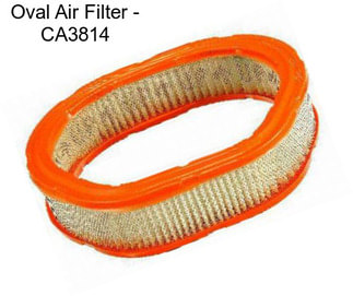 Oval Air Filter - CA3814