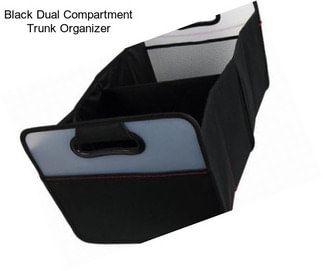 Black Dual Compartment Trunk Organizer