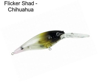 Flicker Shad - Chihuahua