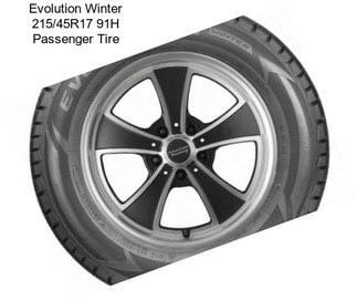 Evolution Winter 215/45R17 91H Passenger Tire