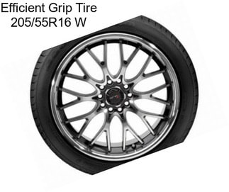 Efficient Grip Tire 205/55R16 W