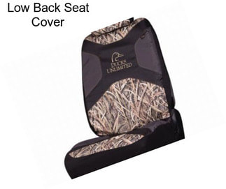 Low Back Seat Cover