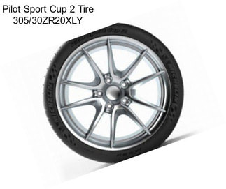 Pilot Sport Cup 2 Tire 305/30ZR20XLY