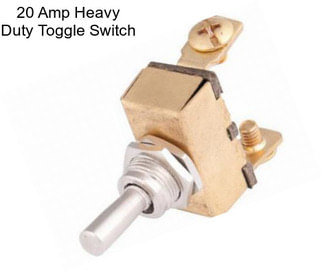 20 Amp Heavy Duty Toggle Switch