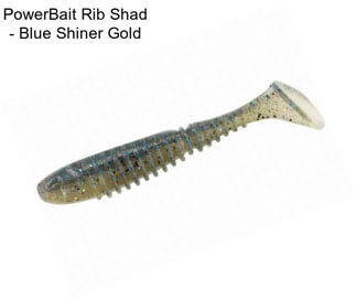 PowerBait Rib Shad - Blue Shiner Gold