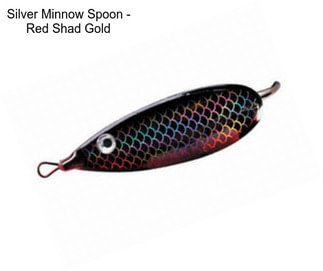 Silver Minnow Spoon - Red Shad Gold