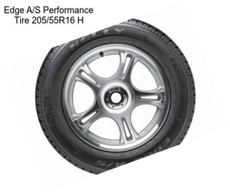 Edge A/S Performance Tire 205/55R16 H