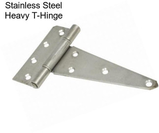 Stainless Steel Heavy T-Hinge