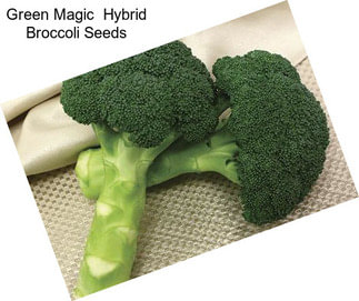 Green Magic  Hybrid Broccoli Seeds