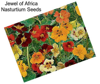 Jewel of Africa Nasturtium Seeds