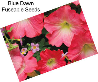 Blue Dawn Fuseable Seeds