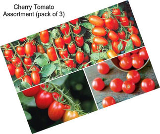 Cherry Tomato Assortment (pack of 3)