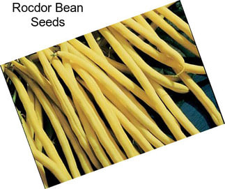 Rocdor Bean Seeds