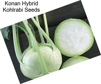 Konan Hybrid Kohlrabi Seeds