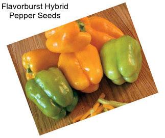 Flavorburst Hybrid Pepper Seeds