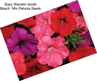 Easy Wavetm South Beach  Mix Petunia Seeds