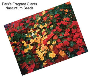Park\'s Fragrant Giants Nasturtium Seeds