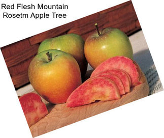 Red Flesh Mountain Rosetm Apple Tree