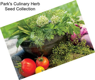 Park\'s Culinary Herb Seed Collection