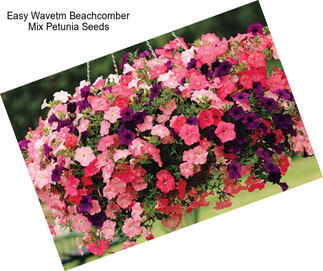 Easy Wavetm Beachcomber Mix Petunia Seeds