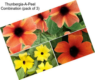 Thunbergia-A-Peel Combination (pack of 3)