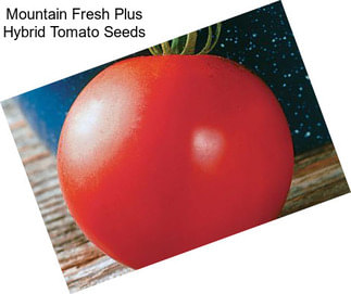 Mountain Fresh Plus Hybrid Tomato Seeds