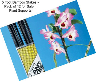 5 Foot Bamboo Stakes - Pack of 12 for Sale  | Plant Supports