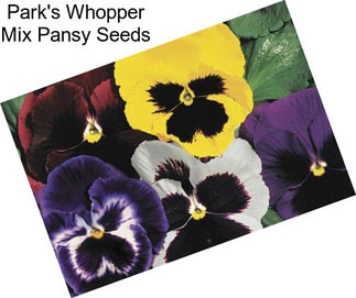 Park\'s Whopper Mix Pansy Seeds