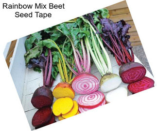 Rainbow Mix Beet Seed Tape