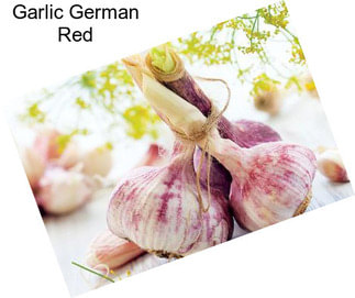 Garlic German Red