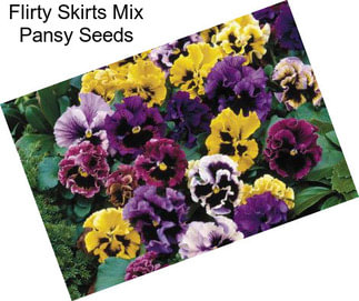 Flirty Skirts Mix Pansy Seeds