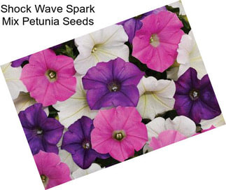 Shock Wave Spark Mix Petunia Seeds