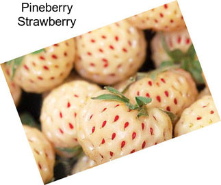 Pineberry Strawberry