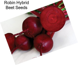 Robin Hybrid Beet Seeds