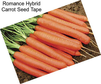 Romance Hybrid Carrot Seed Tape