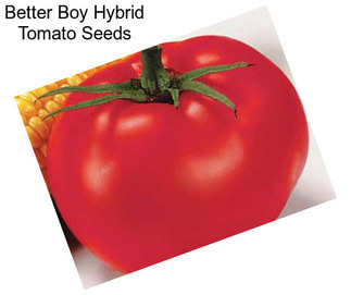 Better Boy Hybrid Tomato Seeds