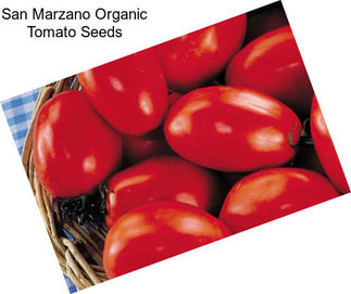 San Marzano Organic Tomato Seeds