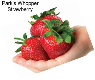 Park\'s Whopper Strawberry