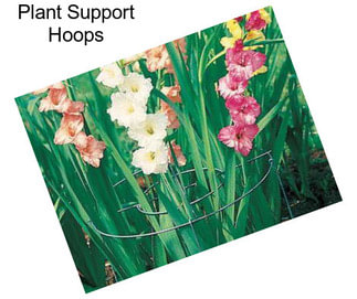 Plant Support Hoops